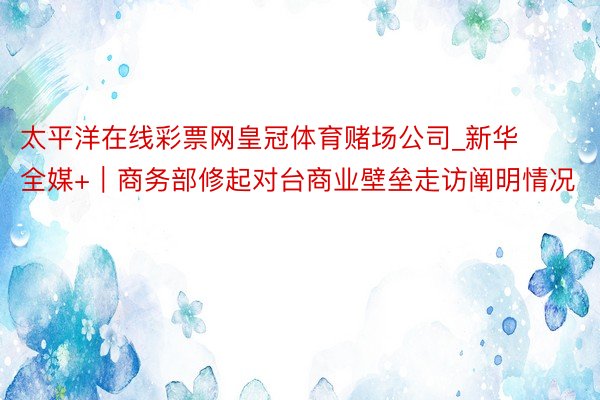 太平洋在线彩票网皇冠体育赌场公司_新华全媒+｜商务部修起对台商业壁垒走访阐明情况